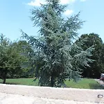 Panzió Apollonia