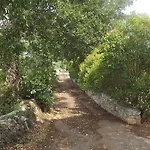 Panzió Apollonia 3*