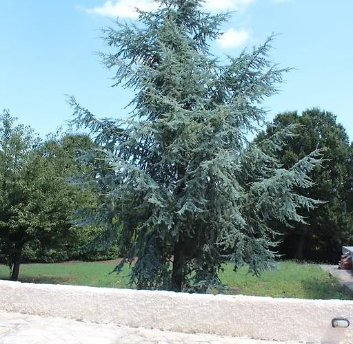 Bed & Breakfast Apollonia