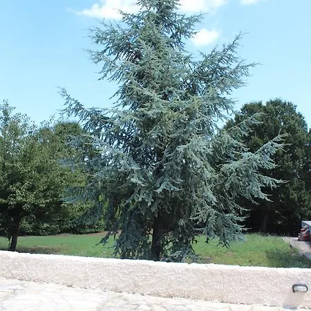 Panzió Apollonia