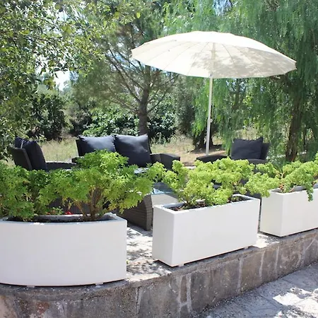 Bed & Breakfast Apollonia