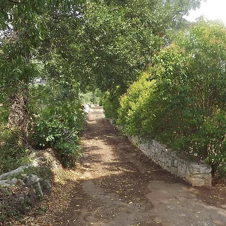 Bed & Breakfast Apollonia 3*